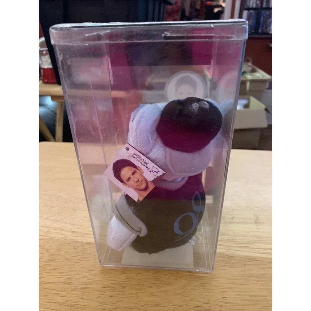 98 Degrees Drew Evolution Rare Bear Limited Edition Collectors Item